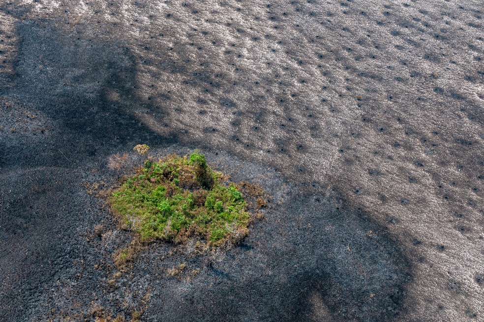 Vista aérea de uma área atingida por queimadas durante uma operação do Ibama para combater incêndios na Amazônia em 2019. — Foto: Vinícius Mendonça/Ibama