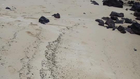 Cinco meses após primeira aparição, vestígios de óleo ainda são encontrados em uma praia do RN