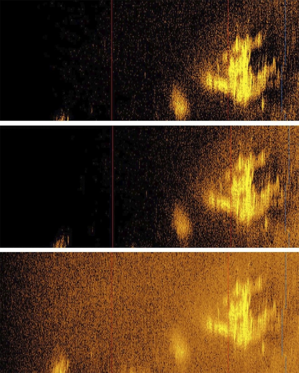 Esta combinação de fotos fornecidas pela Deep Sea Vision mostra uma imagem de sonar que parece ser o 10-E Electra de Amelia Earhart — Foto: Deep Sea Vision via AP