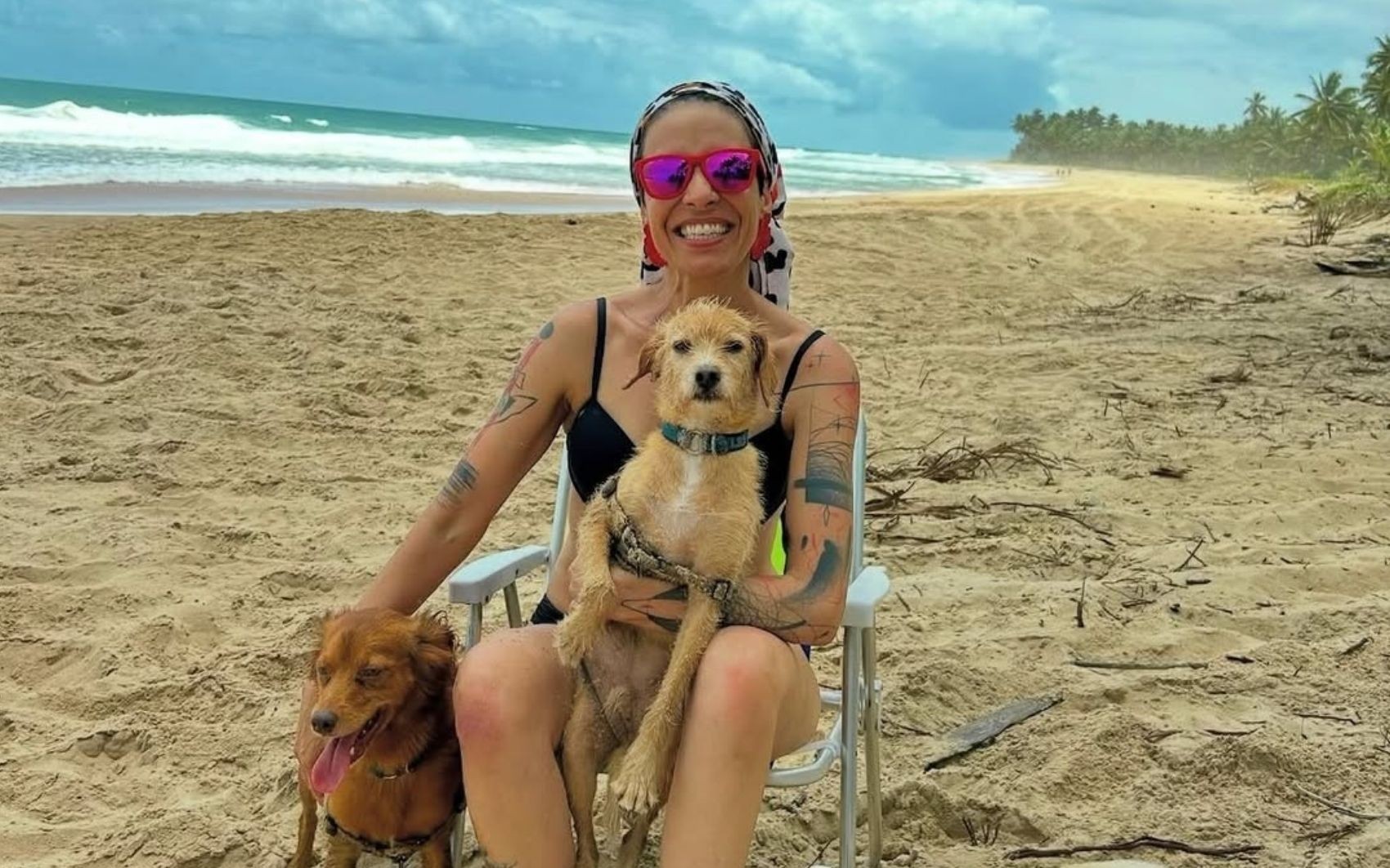 Advogada e três cachorros morrem após carro bater em carreta carregada com querosene, em Goiás