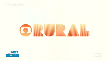 Confira os destaques do Globo Rural deste domingo (20)