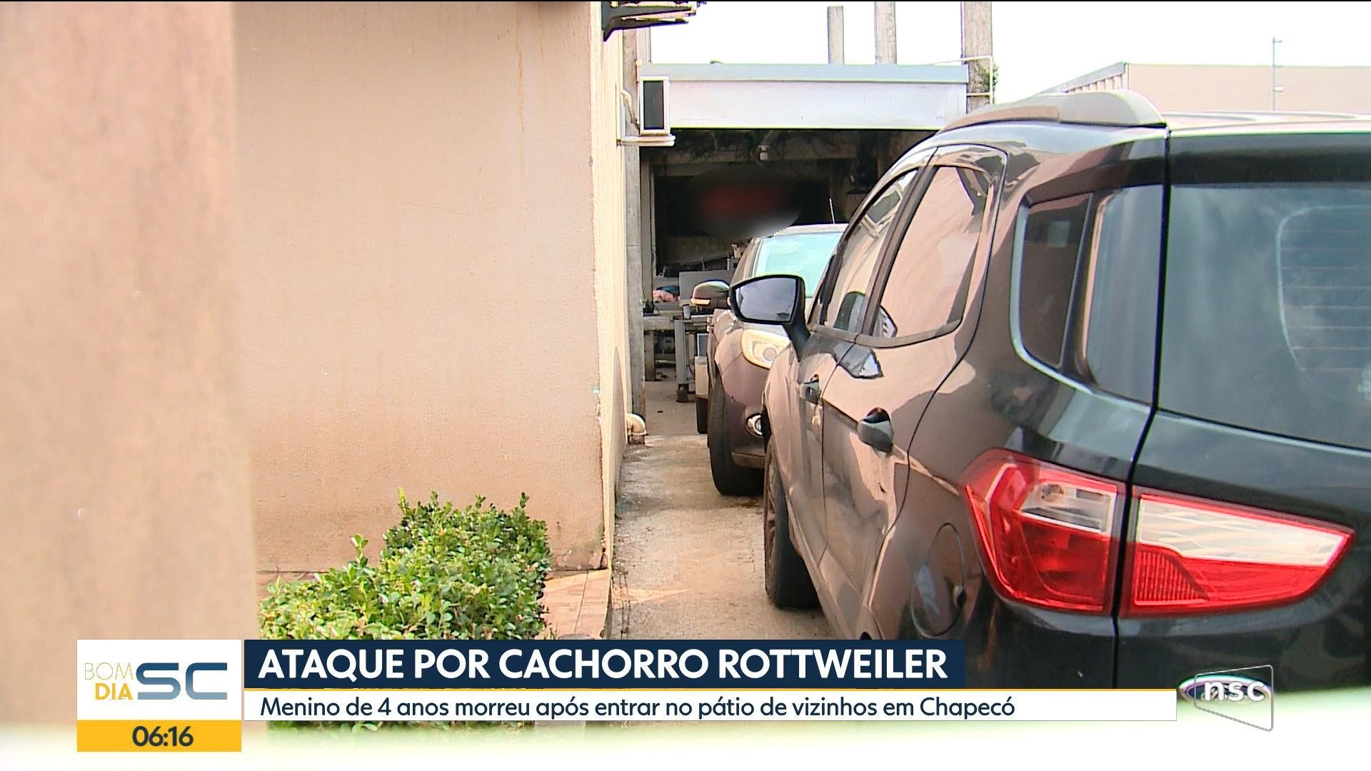 VÍDEOS: Bom Dia Santa Catarina de sexta-feira, 24 de abril de 2026