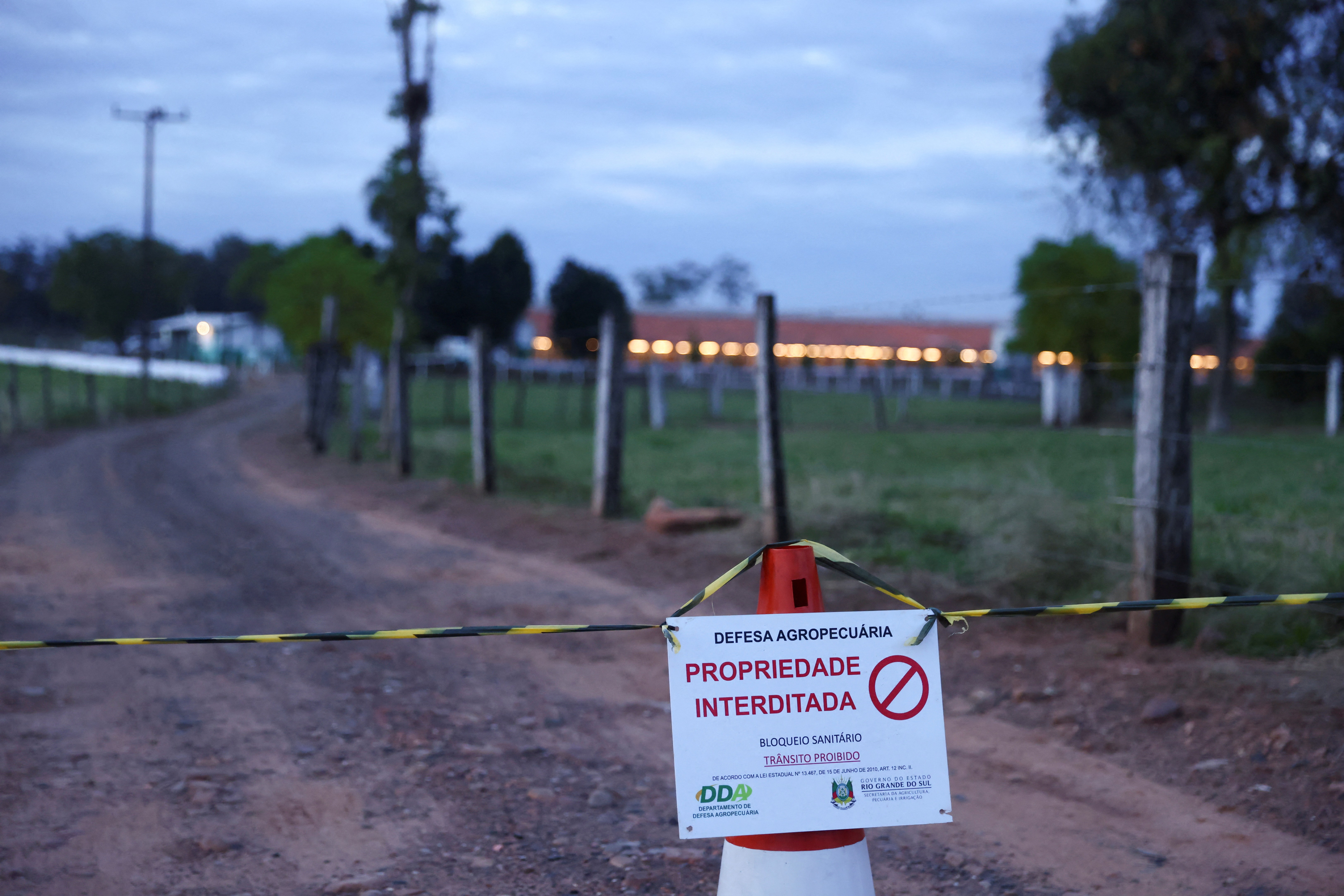 Alerta Gripe Aviária no RS: Estado de Emergência em Saúde Animal e Impactos na Produção de Ovos