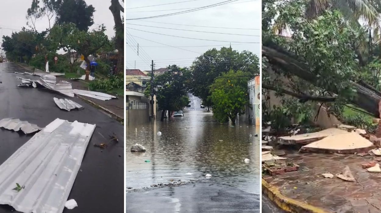 Chuva forte provoca quedas de árvores, falta de energia elétrica e alagamentos em cidades do interior de SP