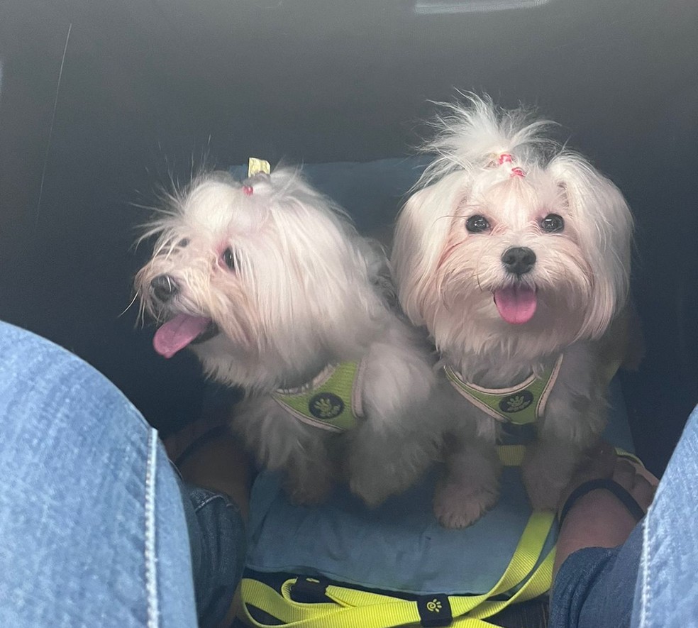Tutora disse que Liz e Inês eram a única companhia dela — Foto: Arquivo pessoal