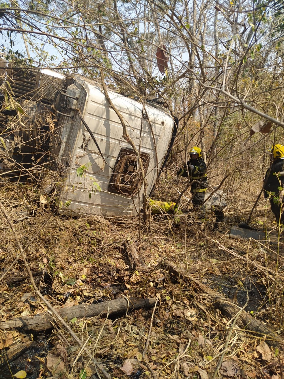 De acordo com o Corpo de Bombeiros, o caminhão em que eles estavam saiu da pista e capotou — Foto: Corpo de Bombeiros