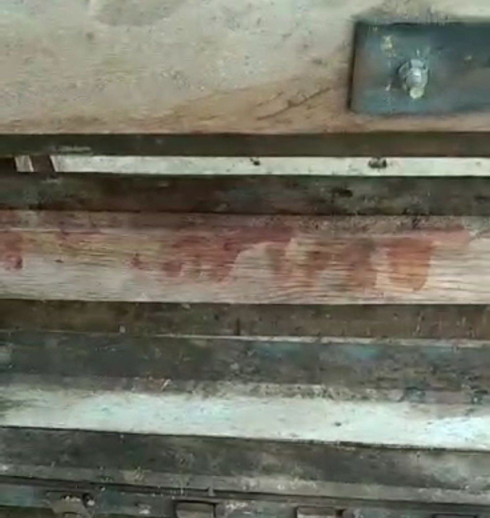 Bezerras foram vítimas de zoofilia por homens que invadiram fazenda em MG, diz gerente da propriedade — Foto: Gerente da fazenda/arquivo pessoal