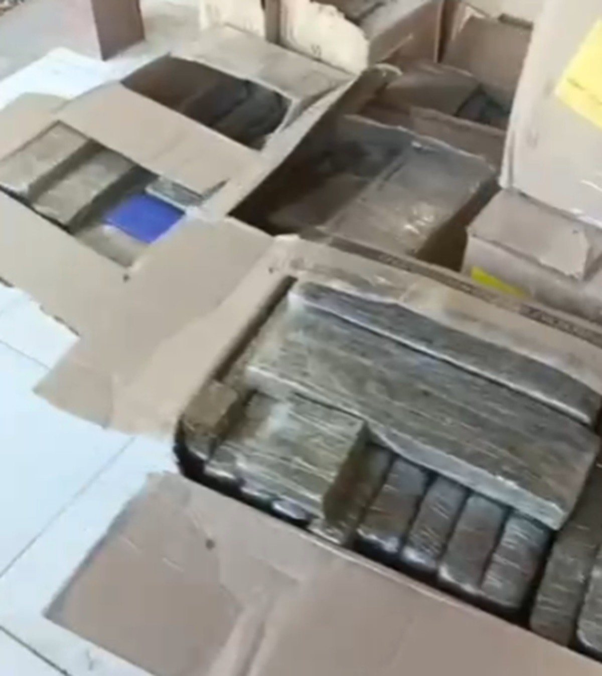 VÍDEO: polícia apreende cerca de 400 kg de maconha em casa em Arapiraca, no Agreste