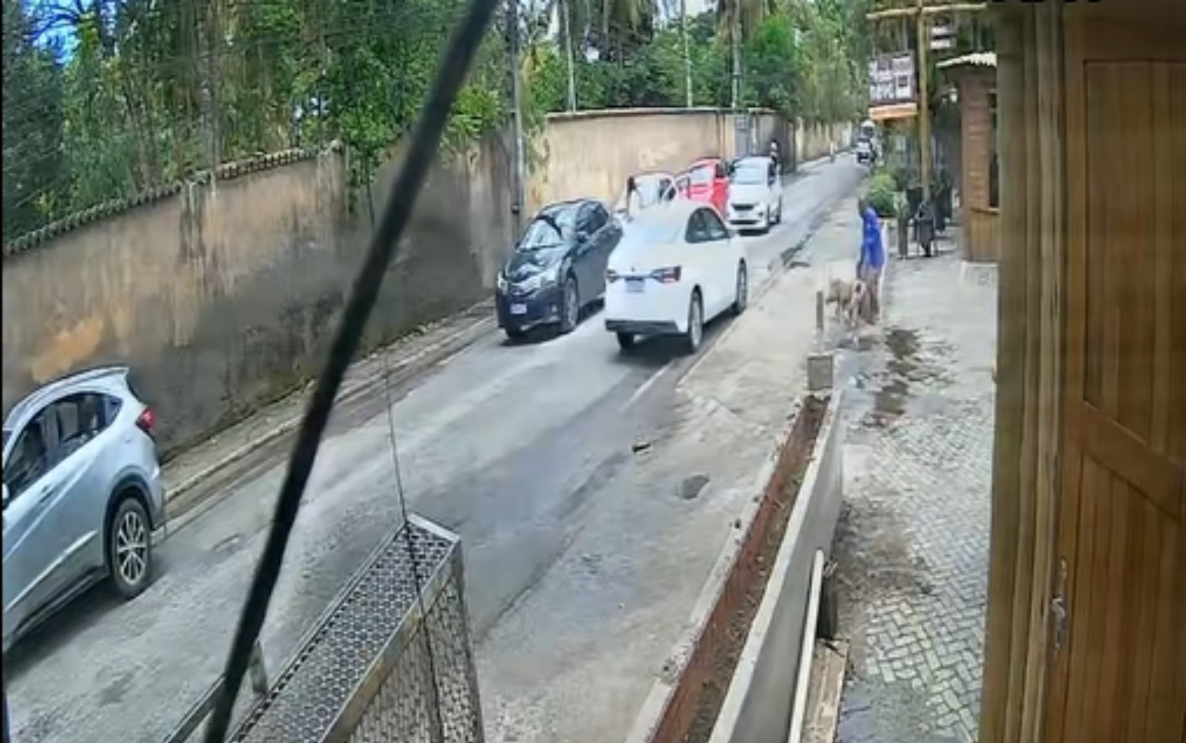 Pitbull escapa de carro após batida e ataca homem em destino turístico da Bahia