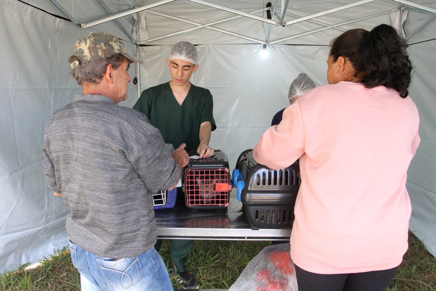 Proteção Animal: Jacareí ultrapassa 3 mil castrações realizadas em 2026