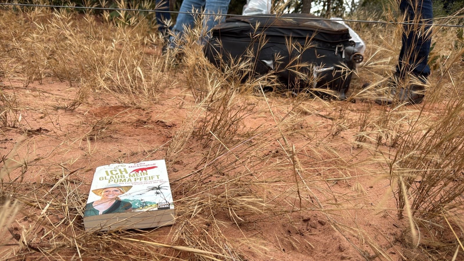 Livros intactos achados pela perícia em avião que caiu revelam paixão de pesquisadora alemã pelo Pantanal