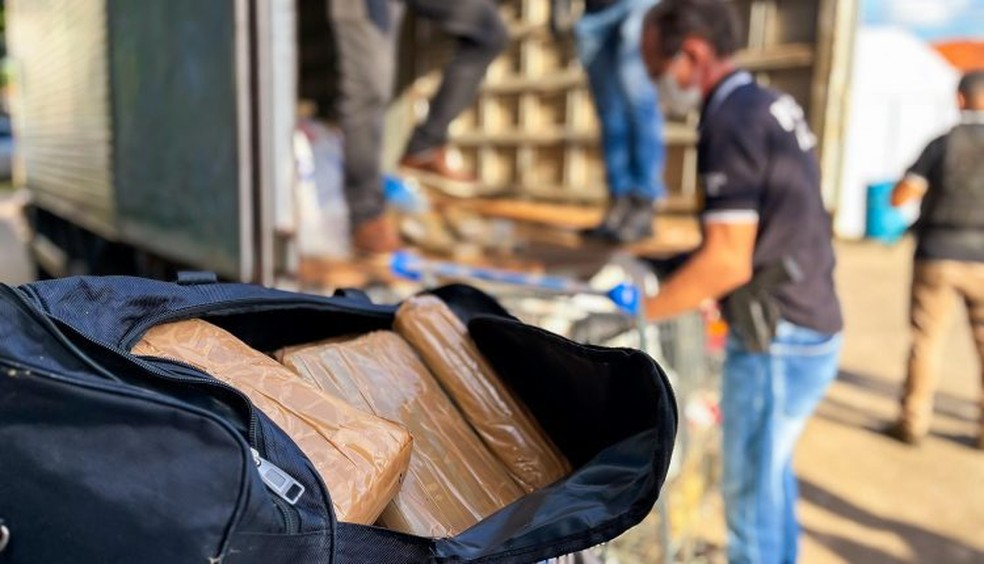 Segurança Pública do Maranhão incinera cerca de uma tonelada de entorpecentes — Foto: Divulgação/Polícia Civil do Maranhão