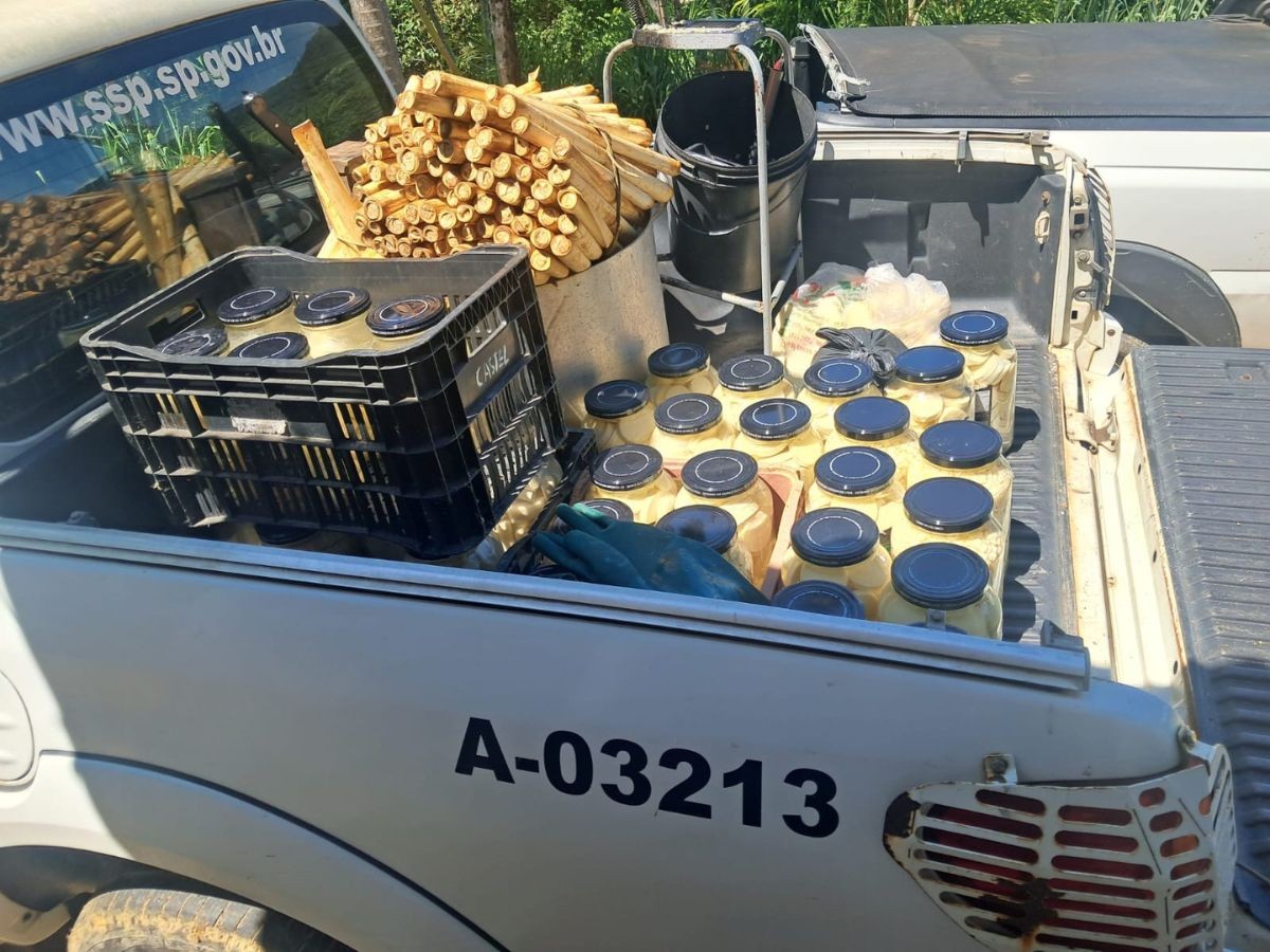Polícia Ambiental interdita fábrica clandestina de palmitos no interior de SP