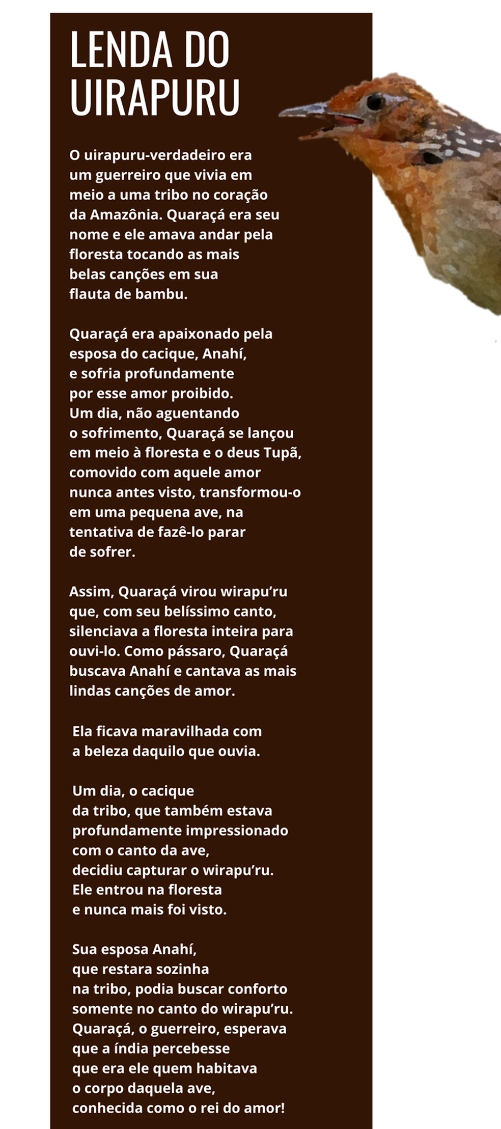 Uirapuru é personagem de lenda amazônica — Foto: Arte TG