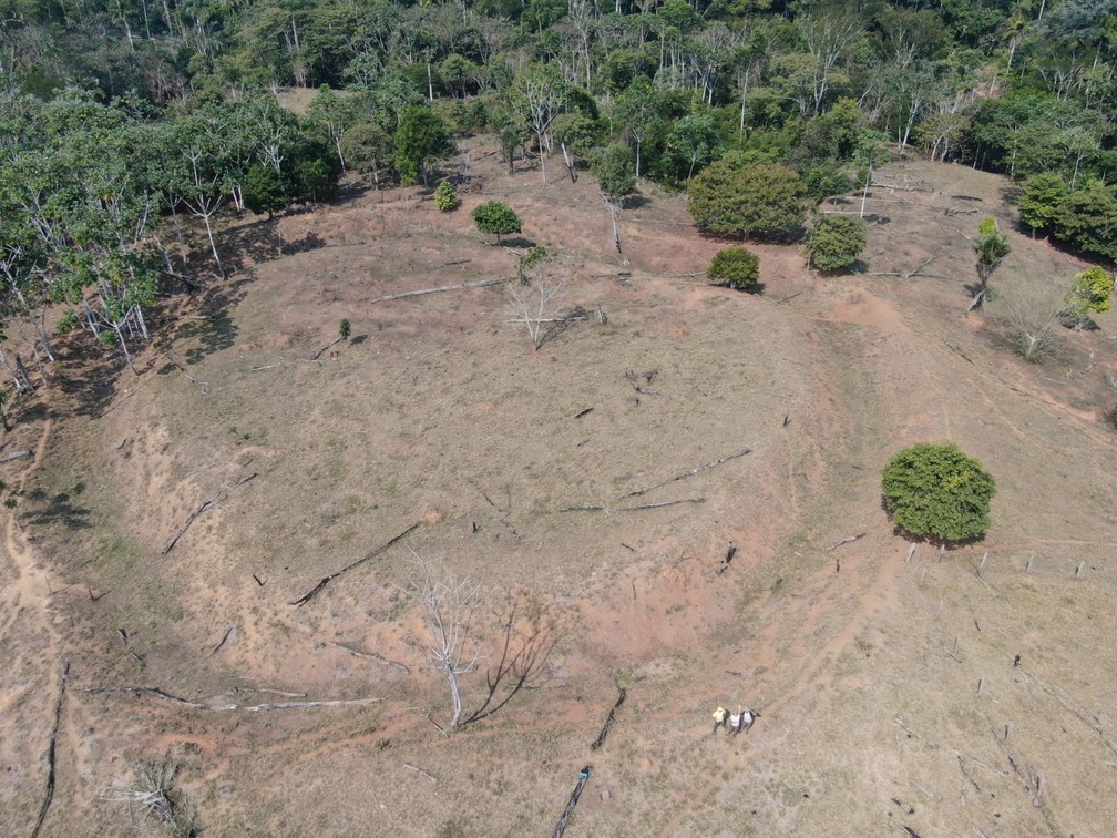 Geoglifo em área desmatada foi encontrado na zona rural de Epitaciolândia — Foto: Arquivo pessoal/Larissa Miranda