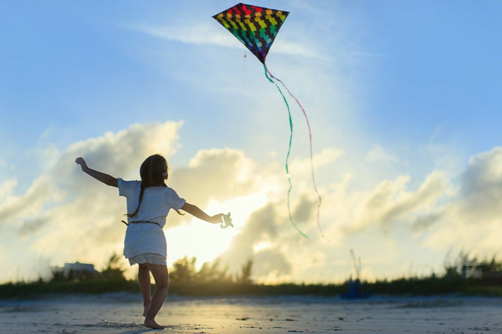 Férias escolares de julho aumentam o registro de ocorrências de incidentes com pipas em todo o estado de São Paulo. — Foto: Divulgação/Neoenergia Elektro