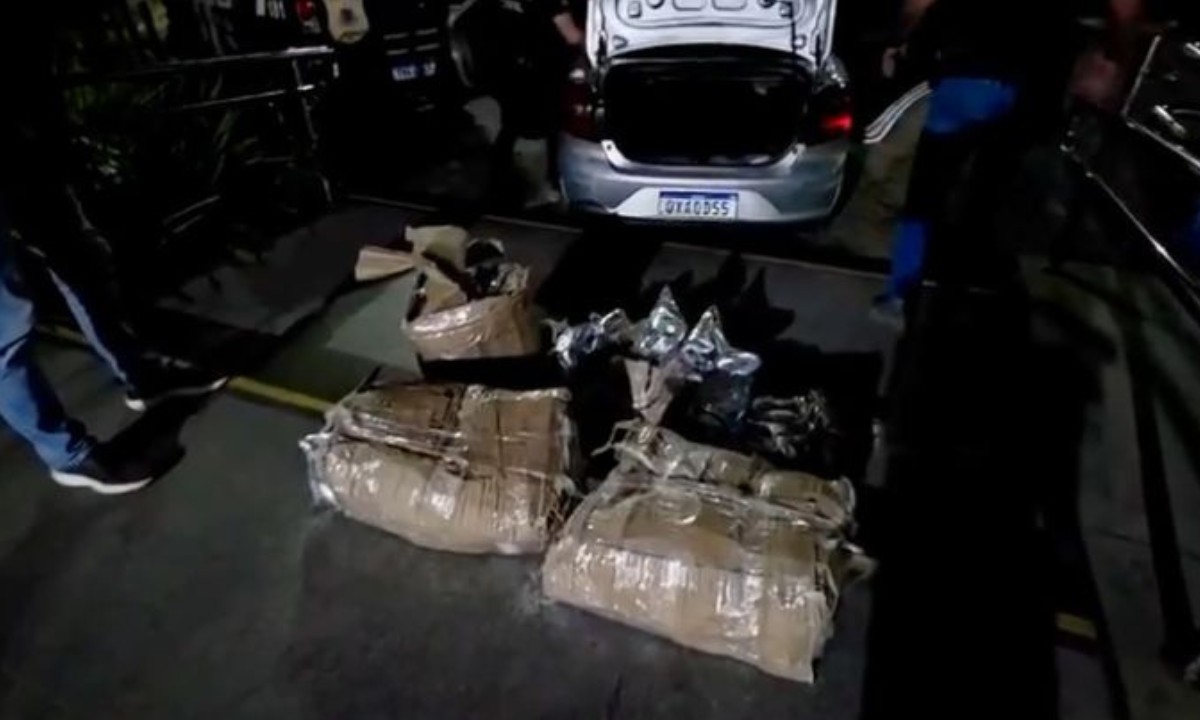 Polícia prende homem com 80 kg de cocaína no interior da Bahia
