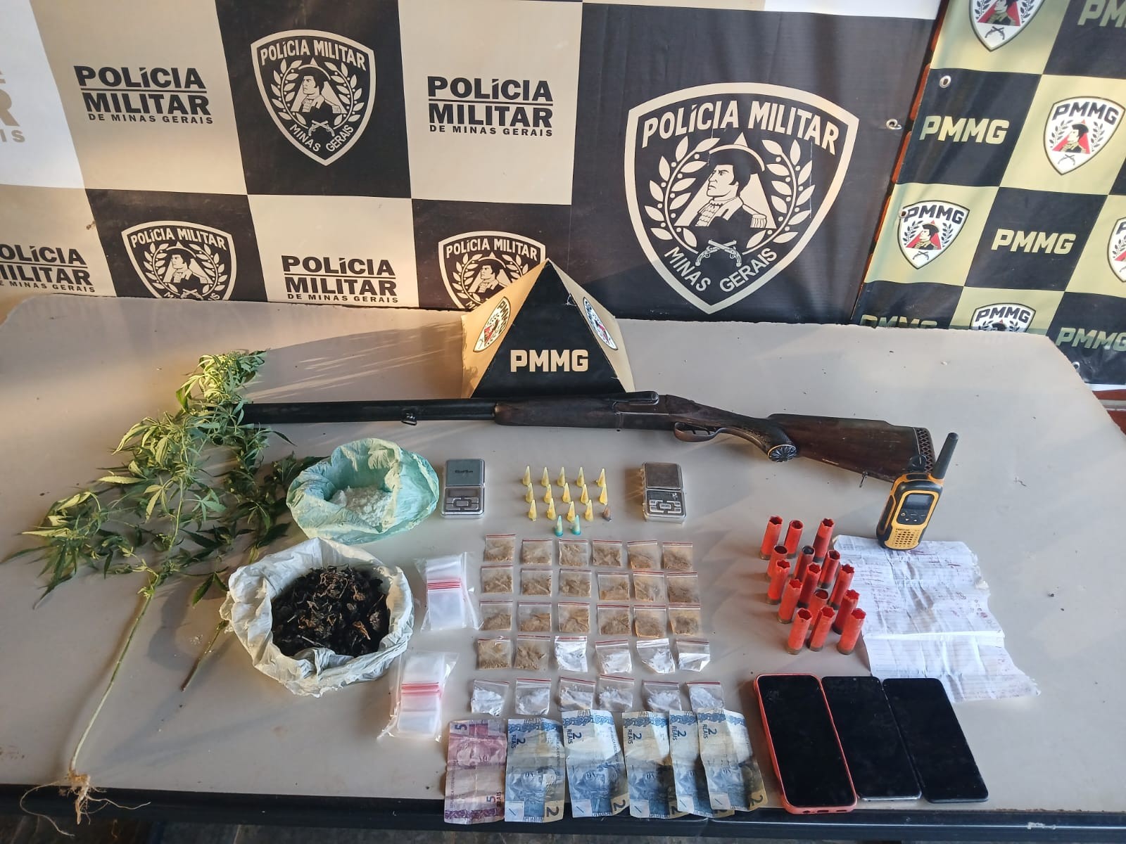 Polícia apreende arma, munições, drogas e pés de maconha durante operação em Januária