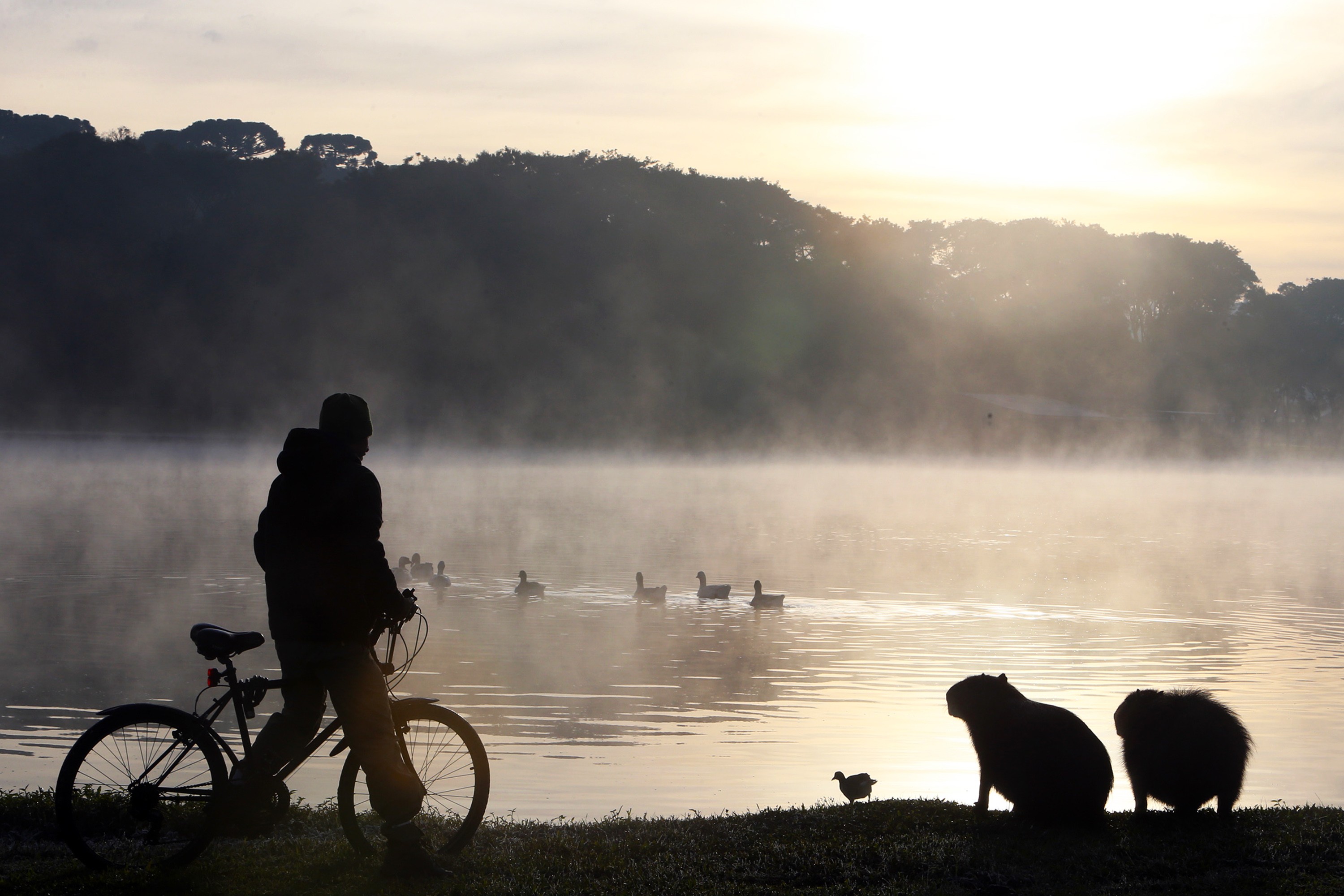 Frio no Paraná: Alerta de 3°C e queda de temperatura no feriado | G1