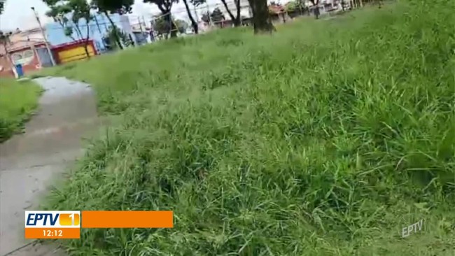 Saresp: região de Campinas avança 15% em desempenho escolar e matemática tem recorde no estado de SP