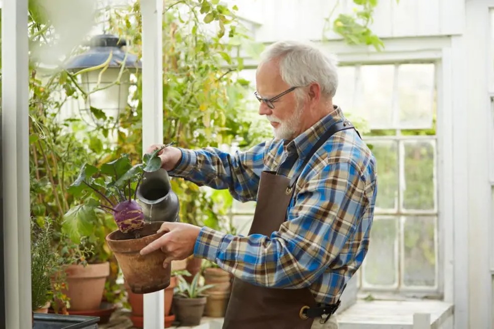 Pesquisas mostram que a jardinagem preserva a função cognitiva, ajudando você a viver bem por mais tempo. | Foto: GETTY IMAGES via BBC