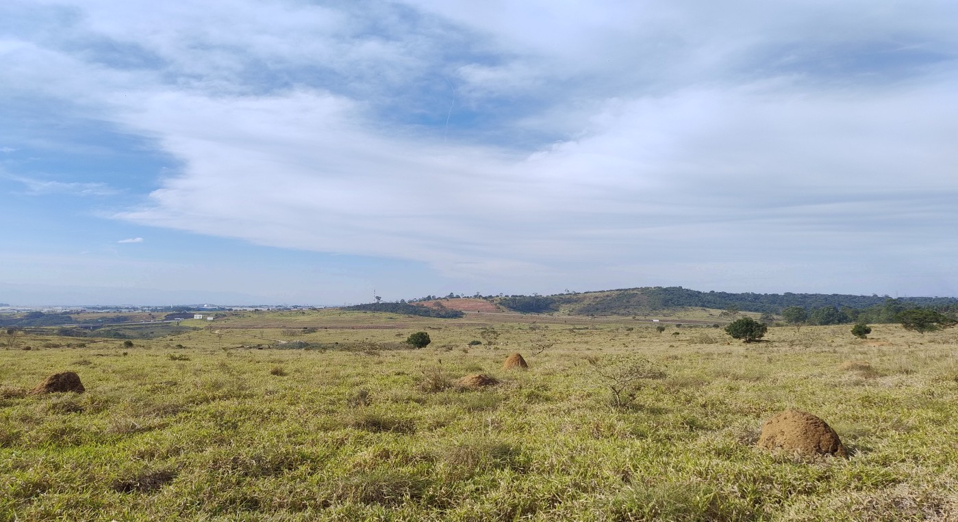 Você Não Tá Convidada pro Meu Bat Mitzvá!