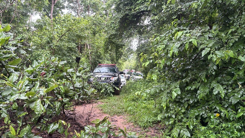 Corpo foi encontrada em área às margens do Rio Cuiabá — Foto: Ianara Garcia/TVCA