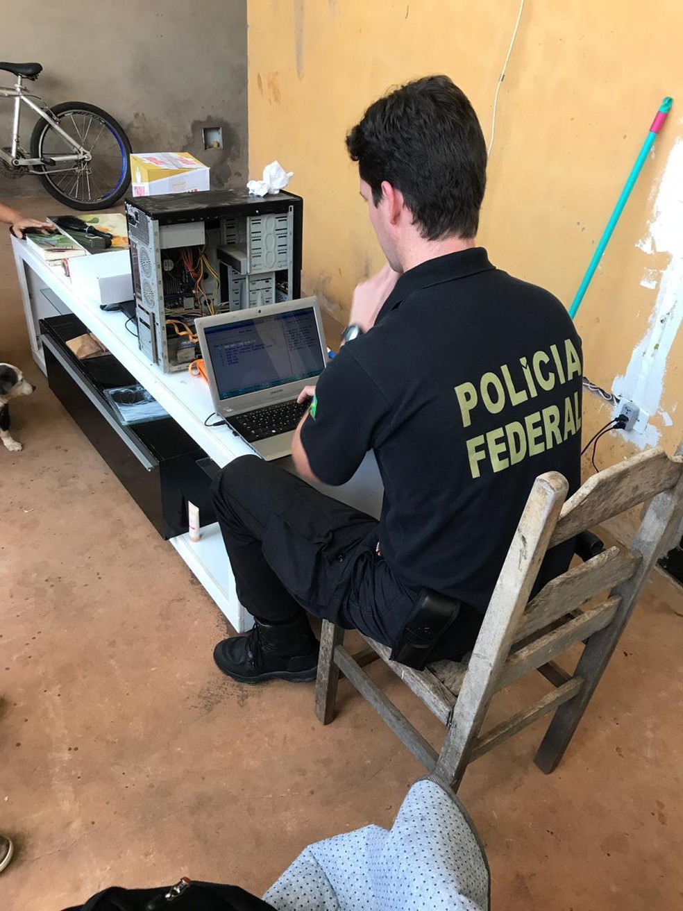 PF vai analisar se presos em ação contra pornografia infantil tinham grupos  específicos no WhatsApp | Mato Grosso do Sul | G1