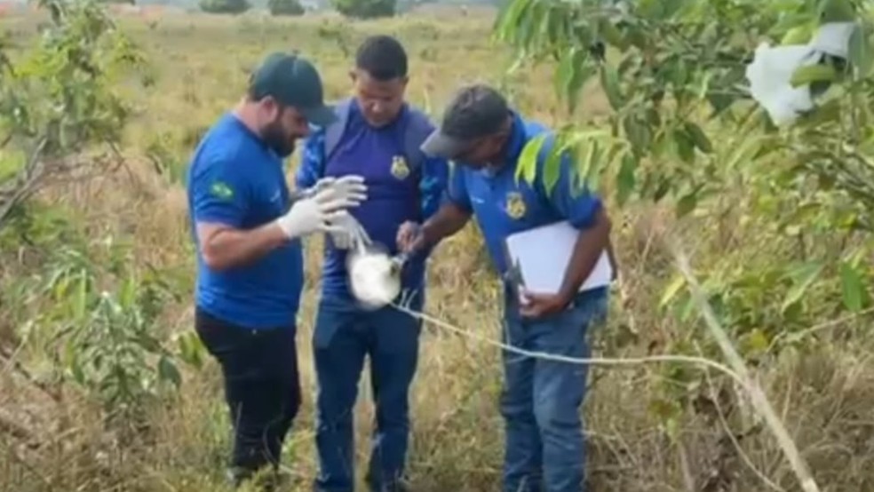 Ossada foi encontrada em área de mata da cidade, e agentes investigam o caso. — Foto: Reprodução / TV Liberal