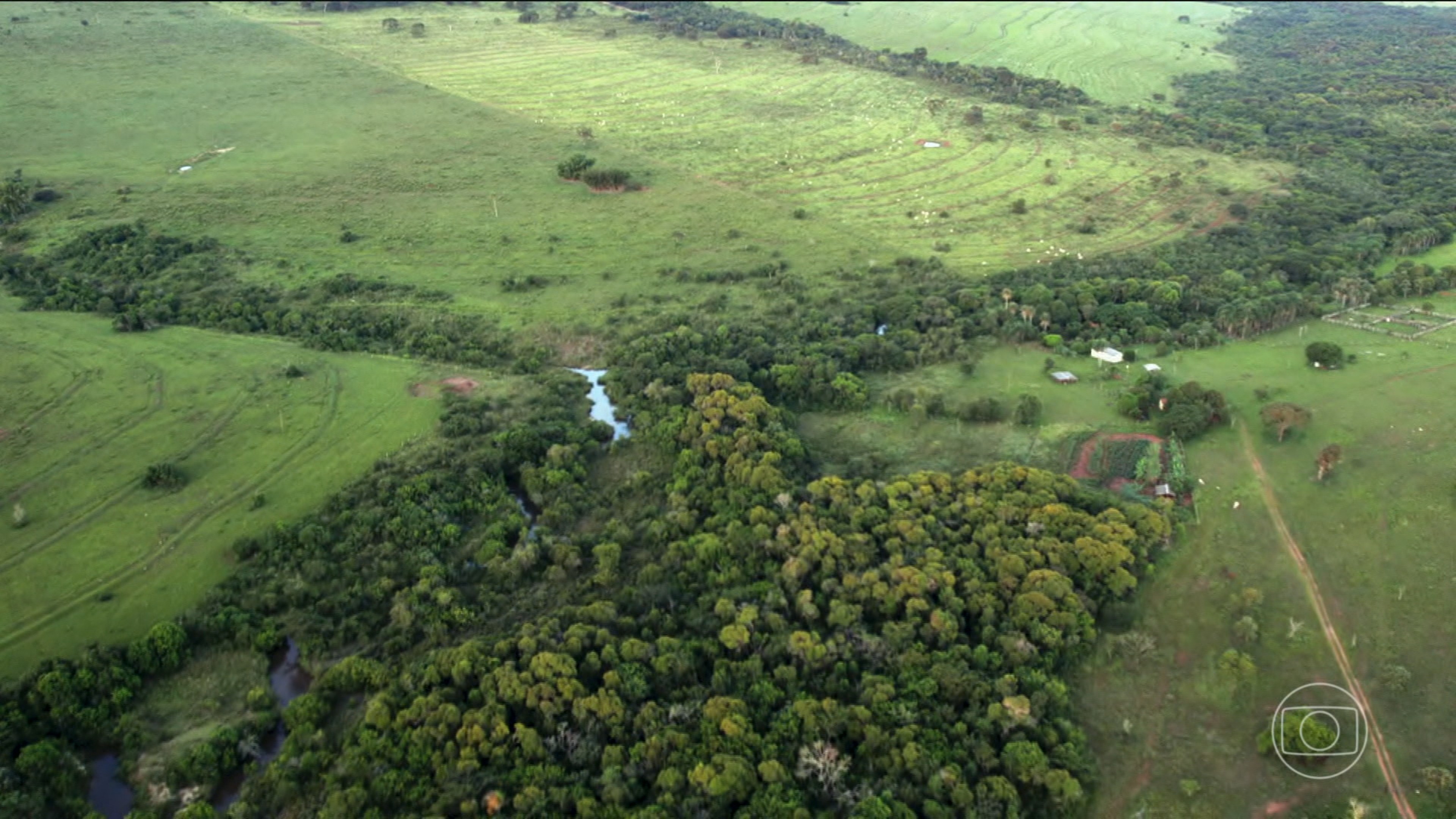 Conheça produtores brasileiros que ‘plantam água’ no Centro-Oeste para proteger fauna e flora do Cerrado