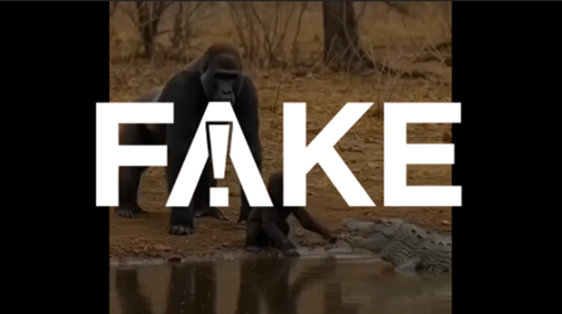É #FAKE vídeo que mostra gorila salvando filhote após ataque de crocodilo; cena foi criada com inteligência artificial