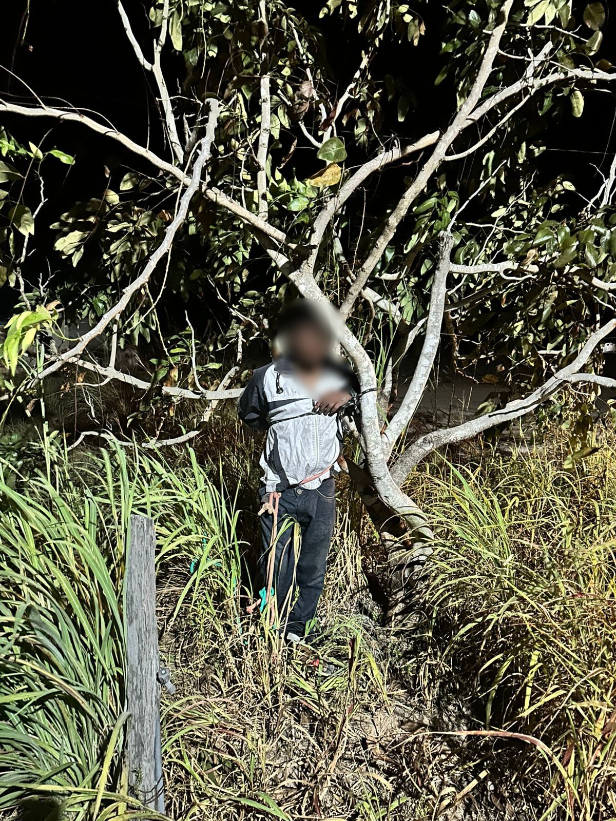 Jovem suspeito de furtar fios de cobre é amarrado em árvore e agredido por moradores em Alto Alegre