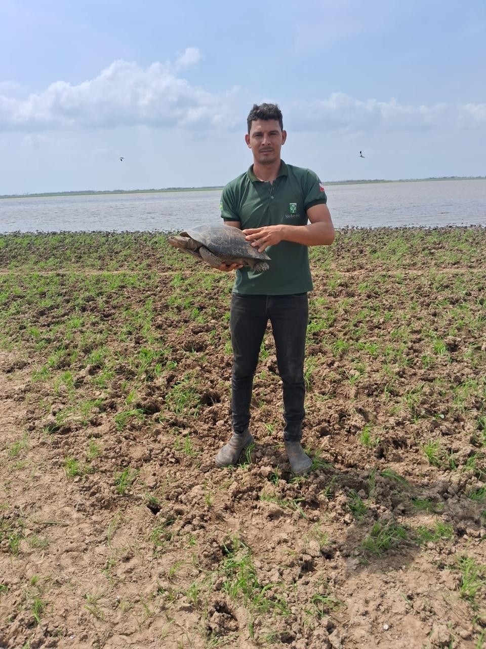 Seca extrema: Ideflor-Bio monitora e faz salvamento de espécies no Lago Grande, em Monte Alegre