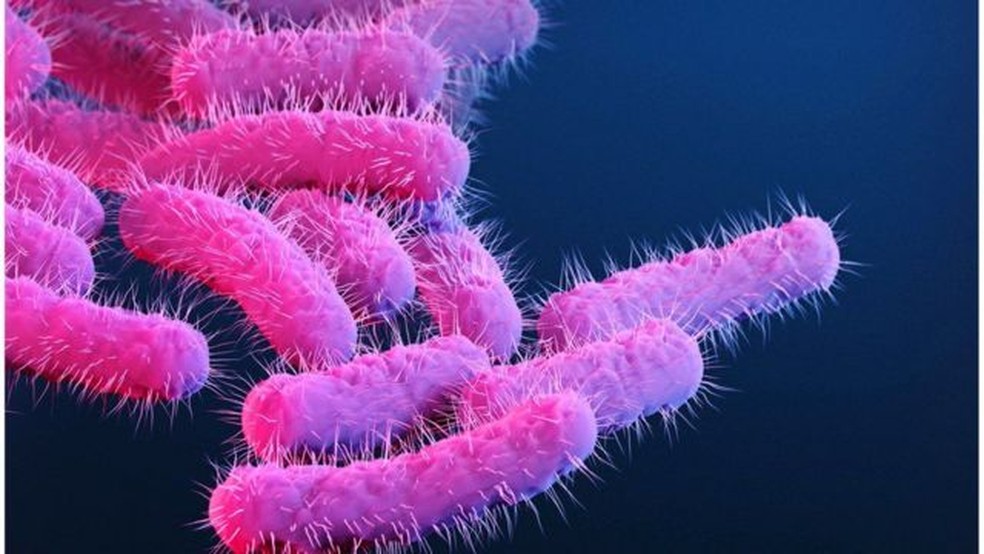 A bactéria shigella é transmitida através do contato com fezes. — Foto: GETTY IMAGES via BBC