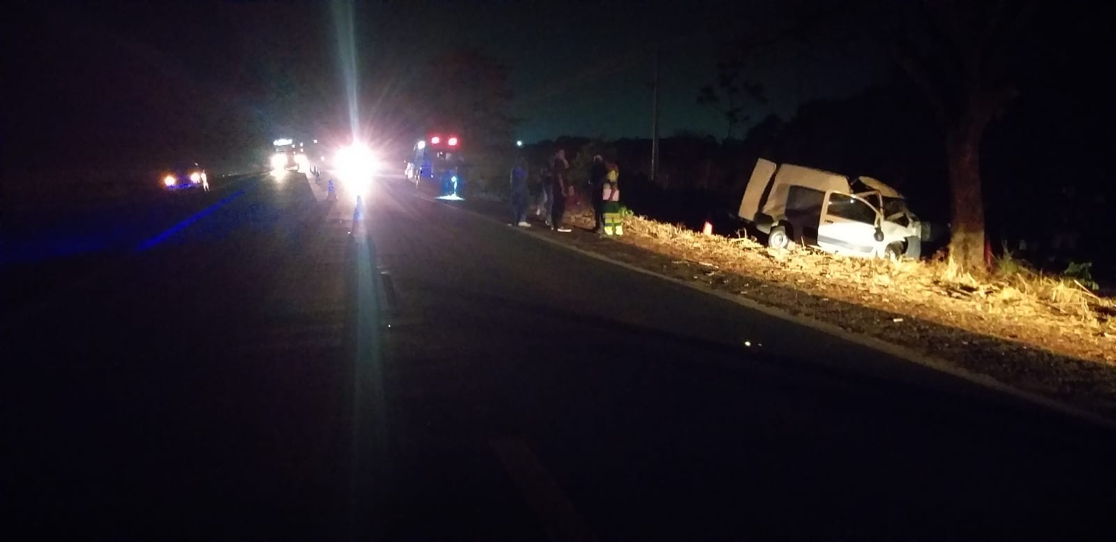 Motorista morre após atropelar capivara, perder controle da direção e bater em árvore em MT  