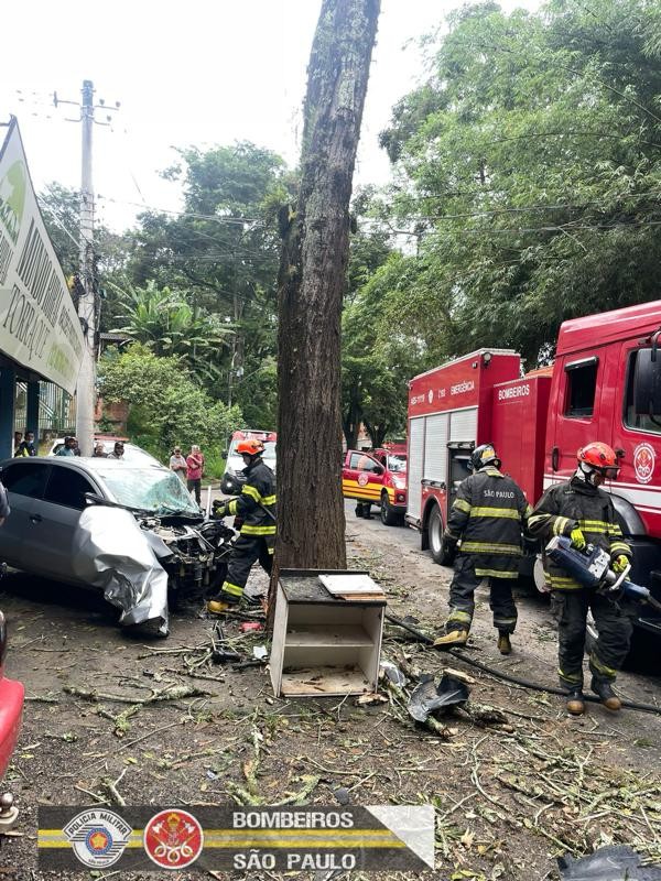 Homem de 29 anos morre após bater carro em árvore na rodovia SP-50