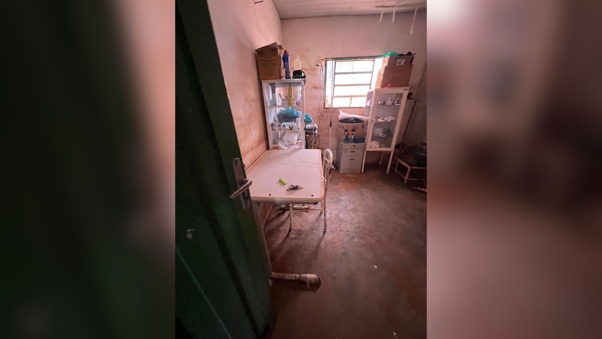 Protetora denuncia problemas estruturais em canil municipal alvo de investigação por morte de 9 animais com suspeita de parvovirose