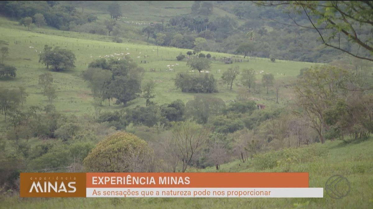 Experiência Minas Sensações Proporcionadas Pela Conexão Com A Natureza Mineira Turismo Rural 0196