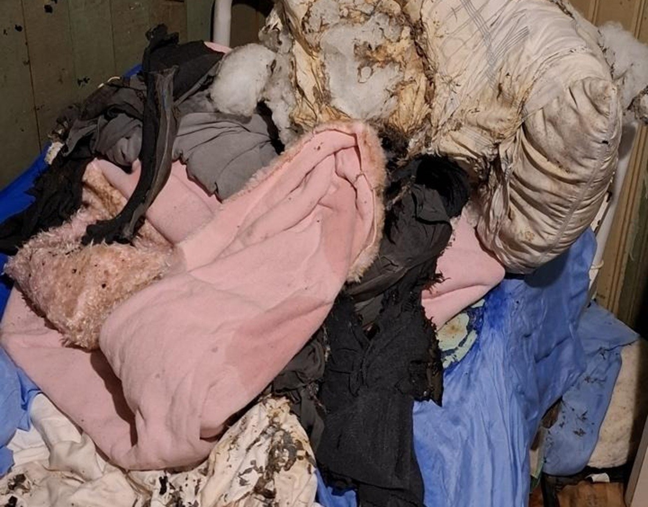 Homem acamado tem 82% do corpo queimado após ter casa invadida por 6 criminosos em SC