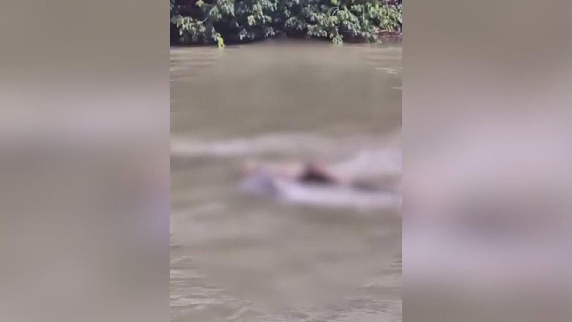 Homem de 44 anos é encontrado morto às margens do Rio Itapecuru, em Caxias