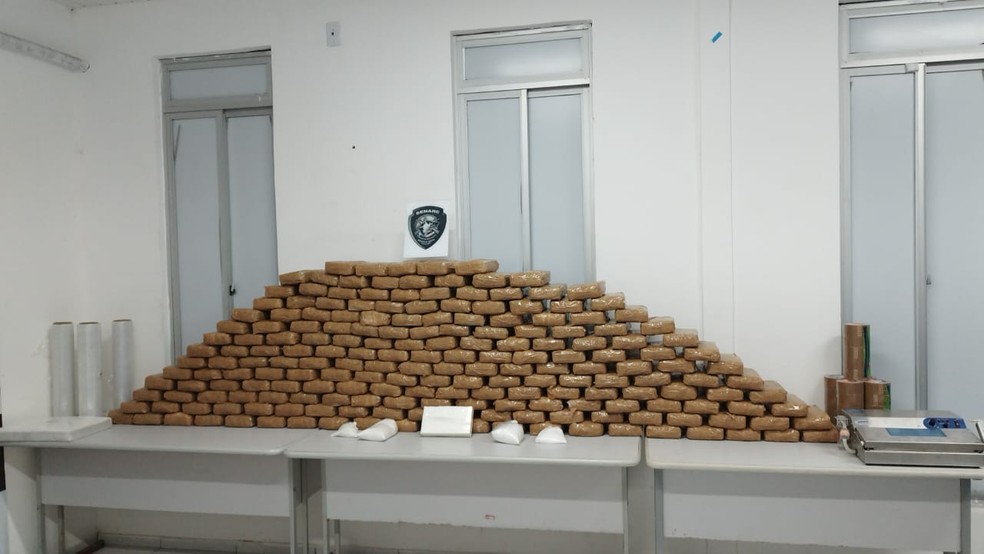 Droga encontrada em parede foi apreendida pela polícia — Foto: Divulgação/Polícia Civil