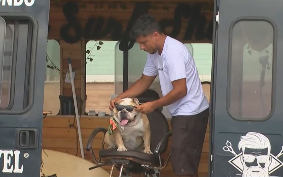 G1 > Brasil - NOTÍCIAS - Conheça o esporte que une cão e dono