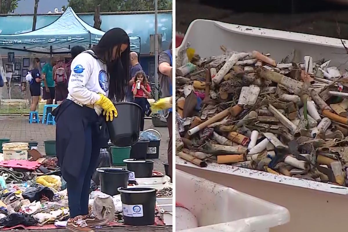 Bitucas de cigarro, plásticos e embalagens: lixo retirado das praias de Ubatuba, no Litoral de SP, aumenta 50%
