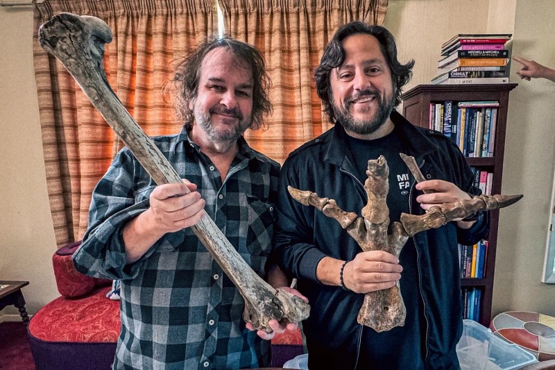 Colecionador de ossos, diretor de ‘O Senhor dos Anéis’ financia projeto para reviver ave extinta da Nova Zelândia