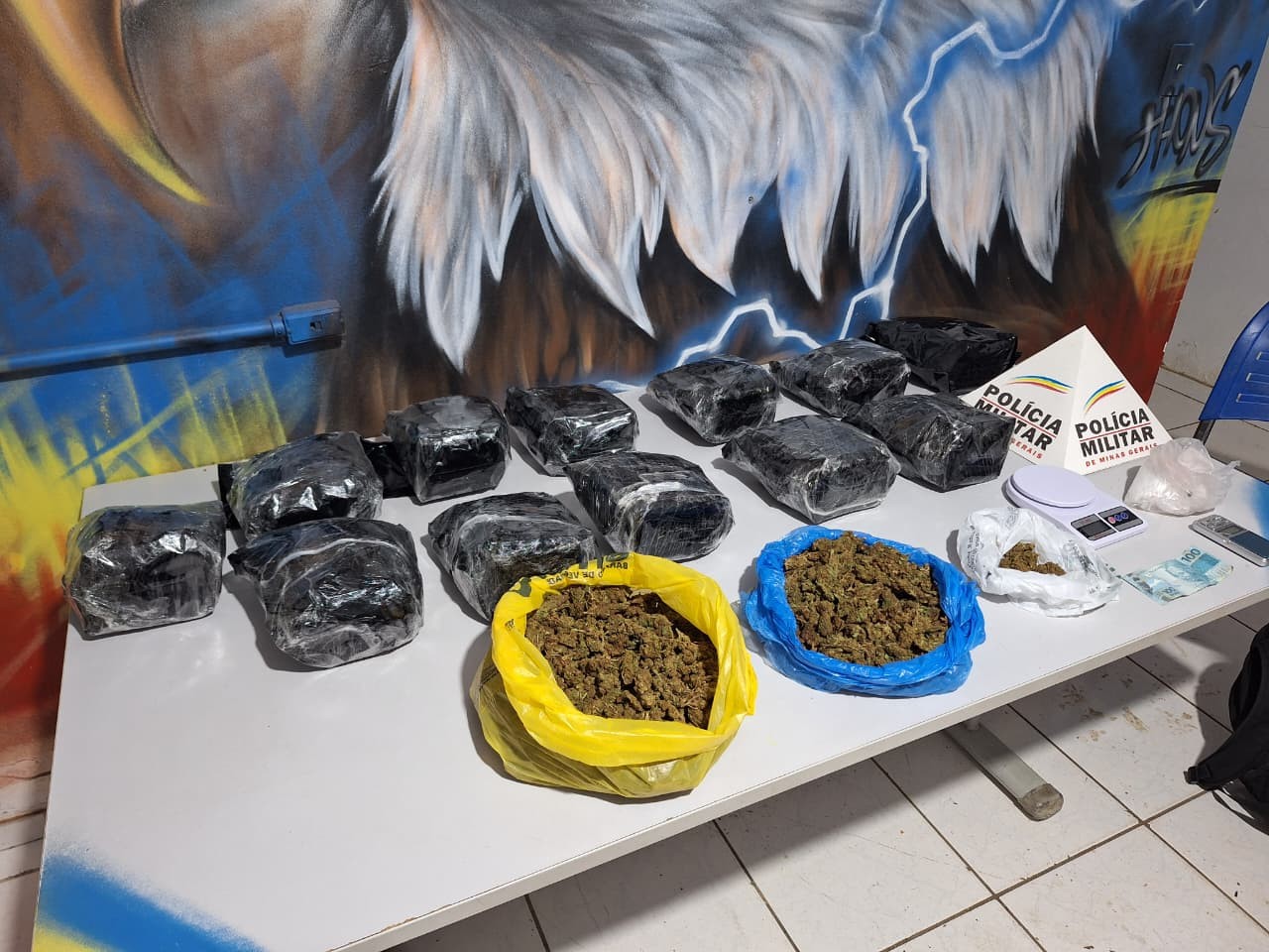 Operação apreende cerca de 22 kg de skunk e prende quatro em Ipatinga