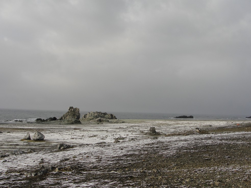 Aquecimento global tem relação com degelo na Antártica, segundo pesquisadora — Foto: MapBiomas-Antártica