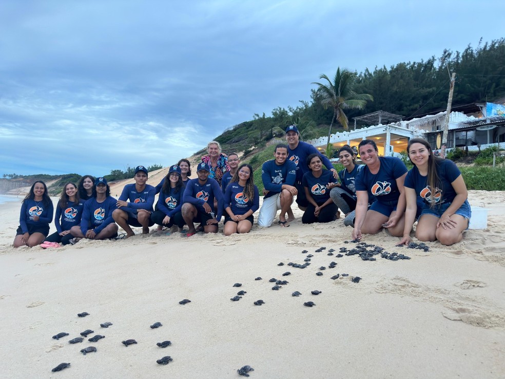 Programa de Voluntariado do Projeto Tartarugas ao Mar está com vagas abertas. — Foto: Reprodução