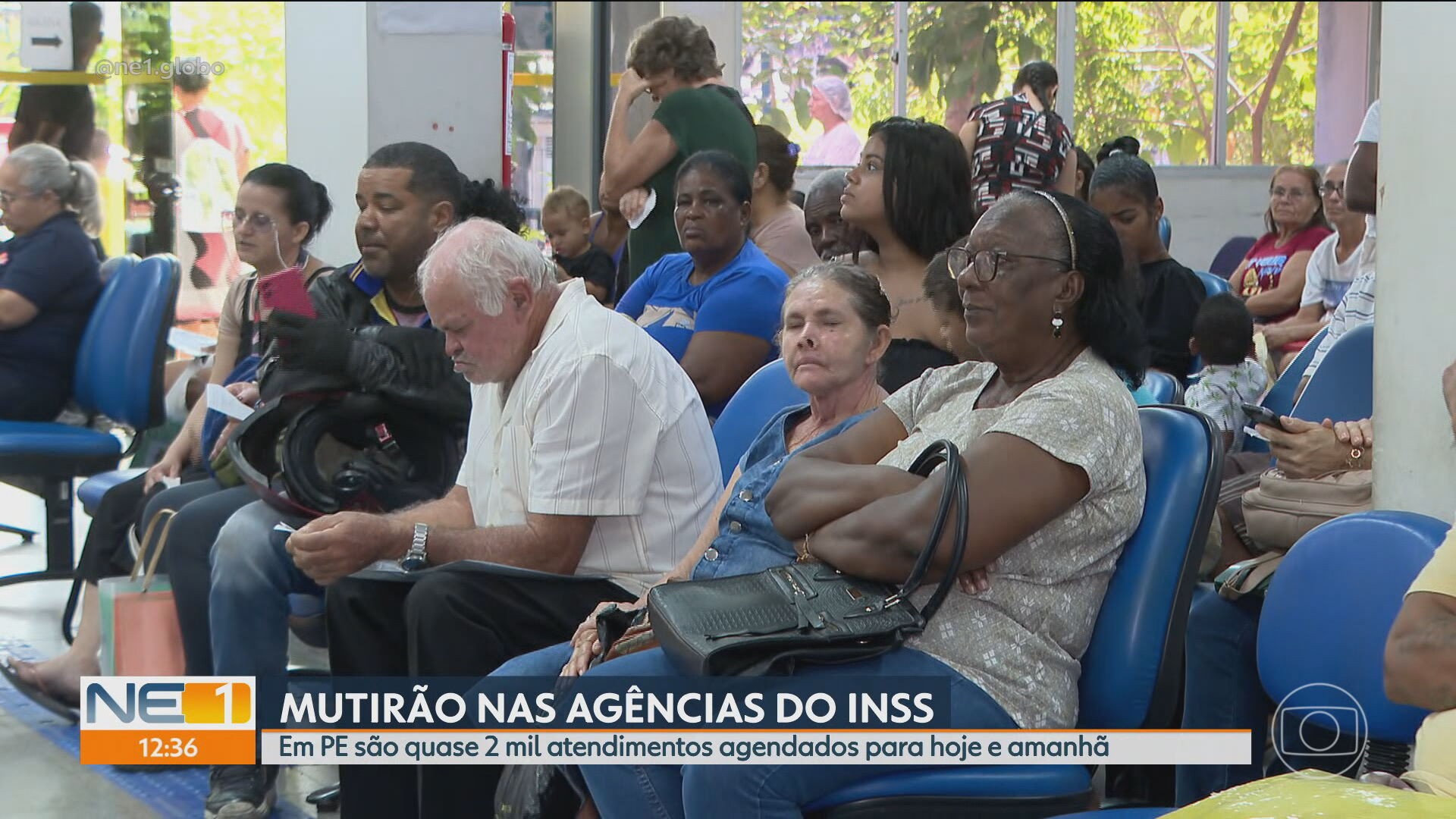 VÍDEOS: NE1 de sábado, 25 de julho de 2026