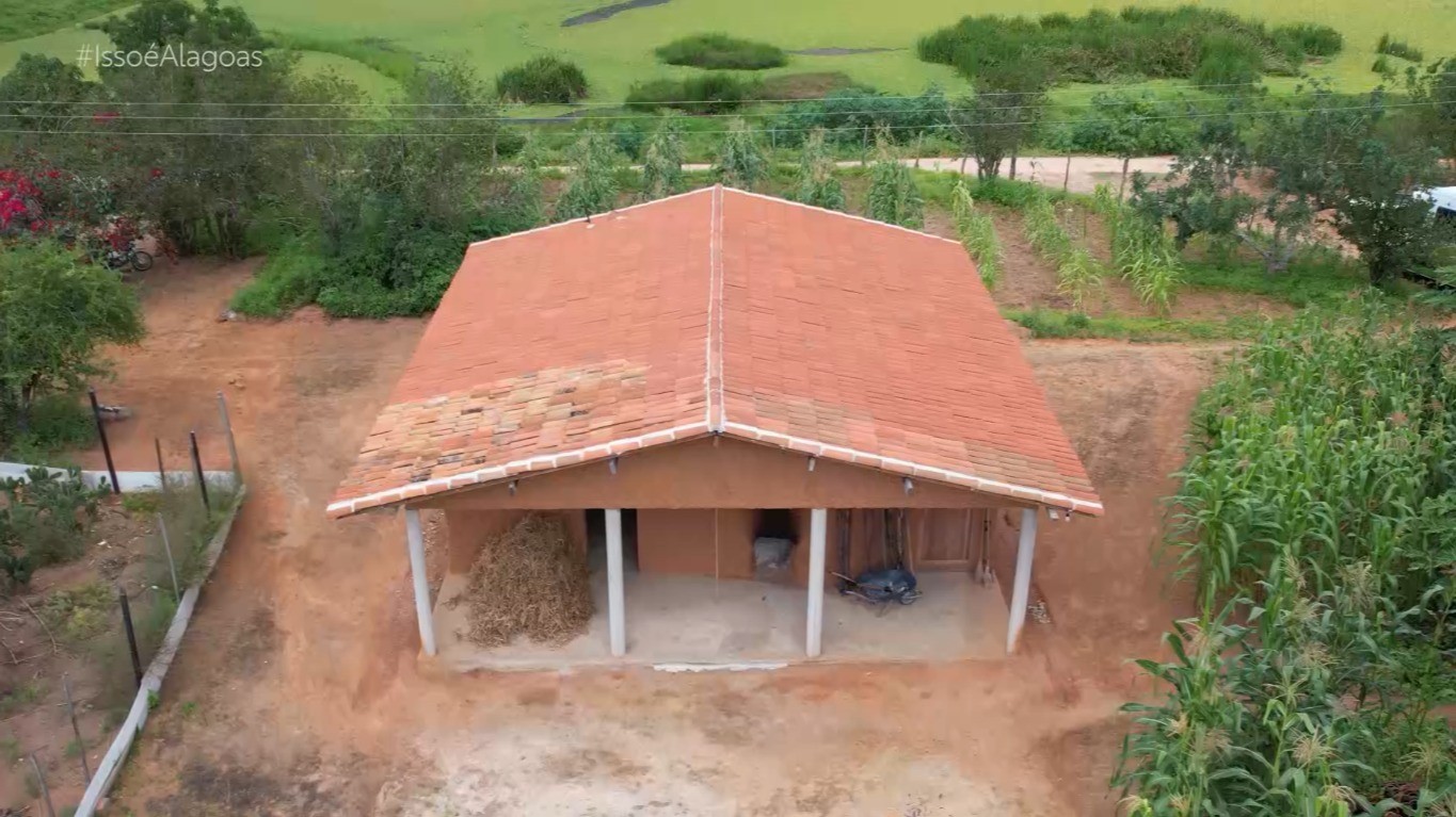 Tradição e resistência: casa de farinha em Pão de Açúcar preserva cultura há mais de 60 anos