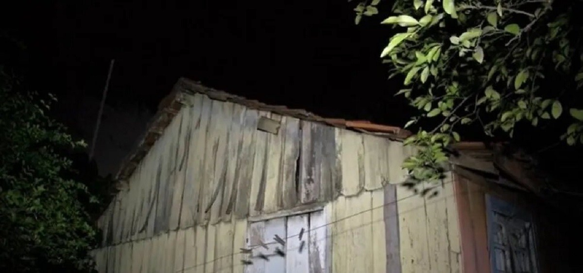 De água milagrosa em cemitério a pontilhão assombrado: carioca viraliza ao explorar lendas urbanas de MS